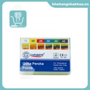 BL-66 Absorbent Paper Points