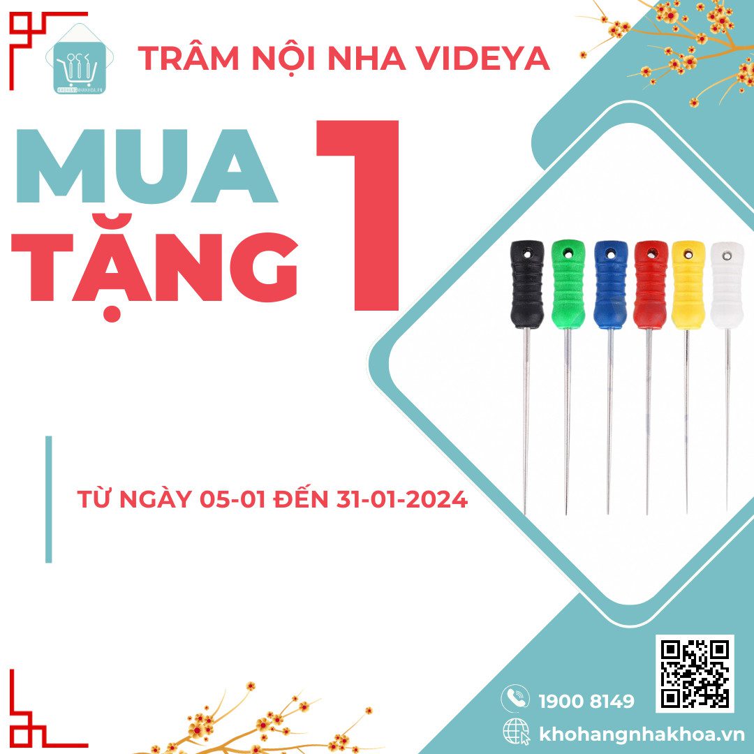 Mua 1 Trâm VIDEYA, Được Tặng Thêm 1 Chỉ Có Tại Khohangnhakhoa.vn